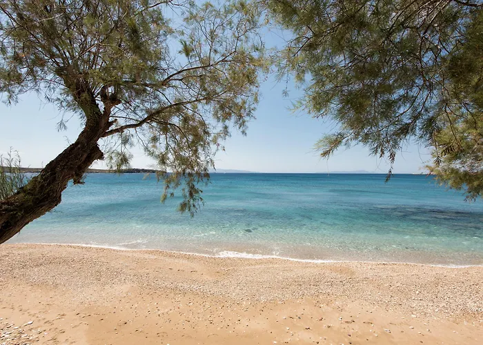 Διαμέρισμα Blue Waves & - To Kyma Δρυός